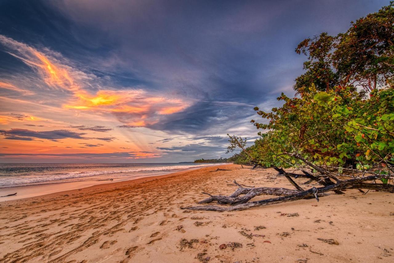 Oasis Bluff Beach Bocas del Toro Extérieur photo