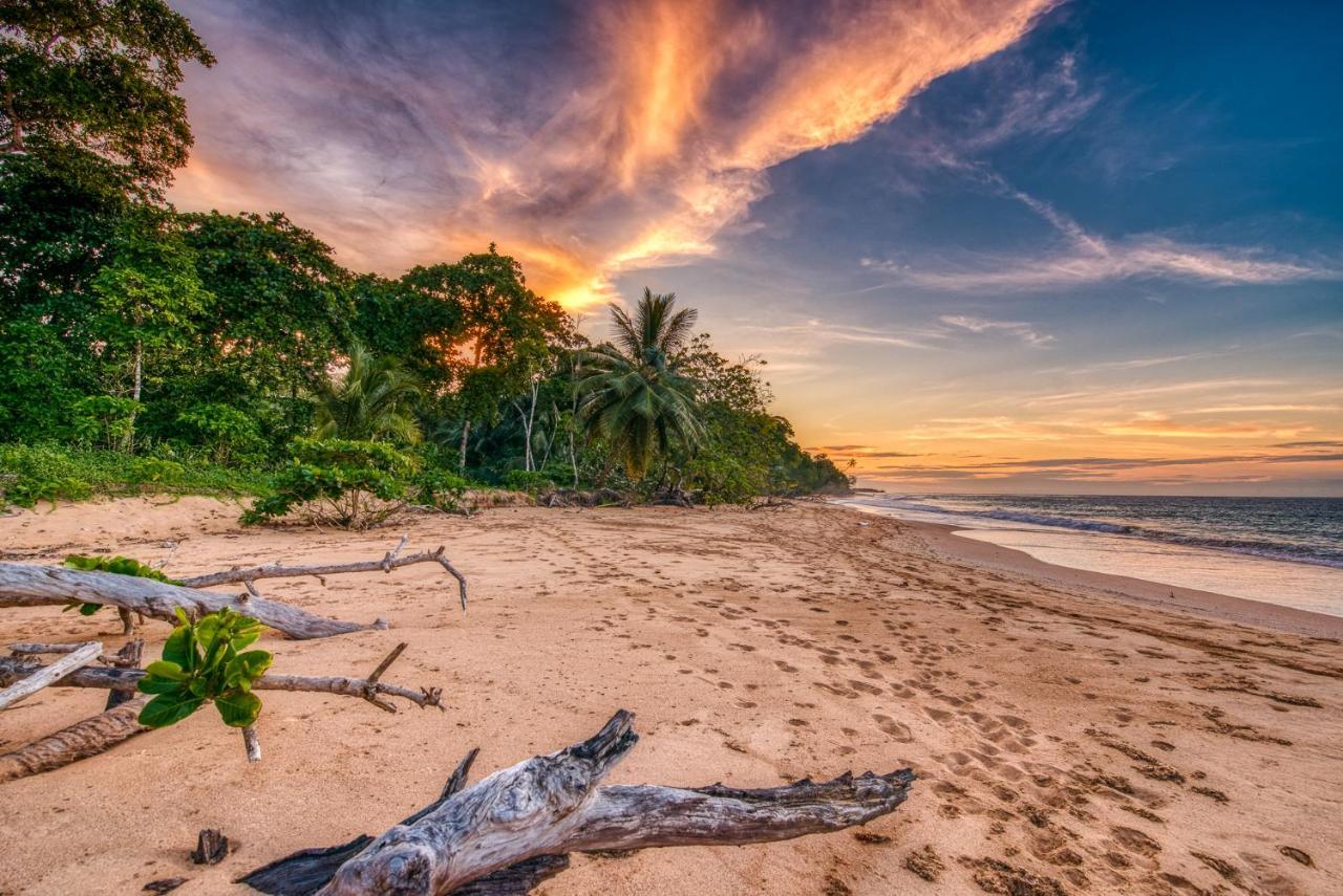 Oasis Bluff Beach Bocas del Toro Extérieur photo