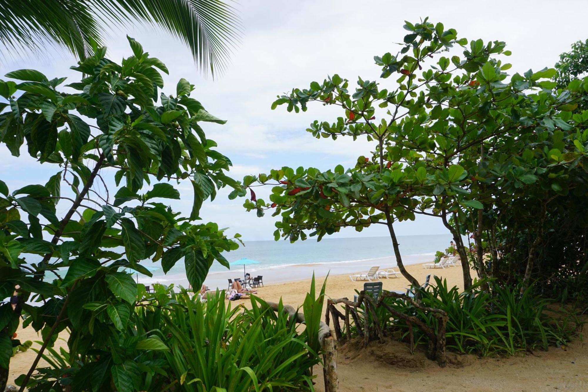 Oasis Bluff Beach Bocas del Toro Extérieur photo