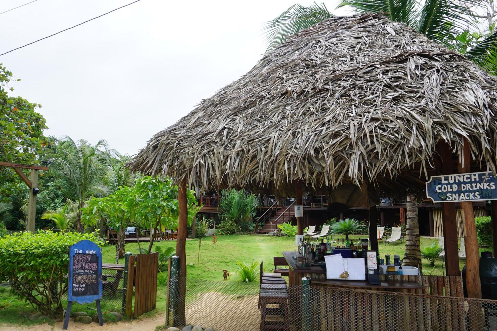 Oasis Bluff Beach Bocas del Toro Extérieur photo